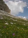 Drei Zinnen Runde 'Forcella Col di Mezzo - Auronzohuette' (8)